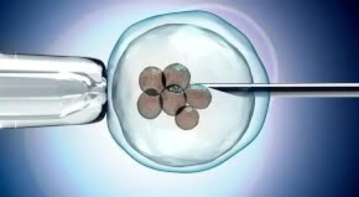 UK fertility patients unable to keep stored embryos due to cost of living crisis