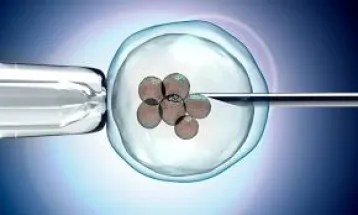 UK fertility patients unable to keep stored embryos due to cost of living crisis