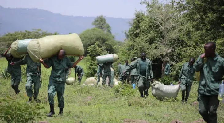 Sierra Leone police bust marijuana farm in community sting