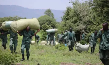 Sierra Leone police bust marijuana farm in community sting