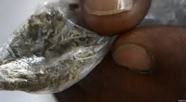 Traditional Herbalist Successfully Treats More Than 300 Kush Addicts in Sierra Leone