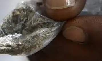 Traditional Herbalist Successfully Treats More Than 300 Kush Addicts in Sierra Leone