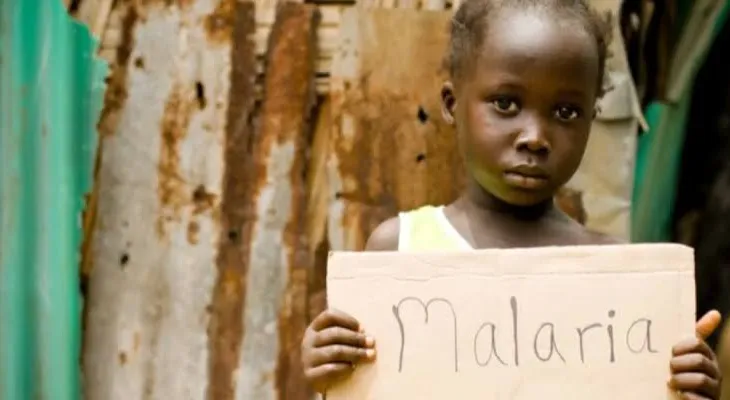 Sierra Leone's Malaria Death Rate: A Critical Assessment