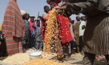 Millions Face Hunger in Sierra Leone and Other African Countries, UN Warns