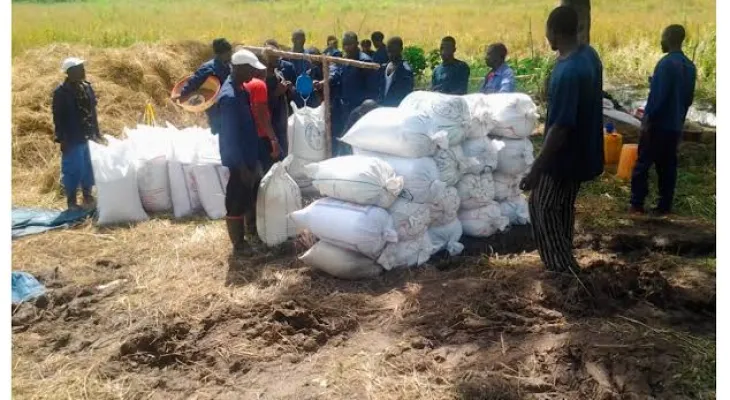 Sierra Leone Correctional Service Initiates Large-Scale Farming to Reduce Government Expenses