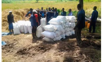 Sierra Leone Correctional Service Initiates Large-Scale Farming to Reduce Government Expenses