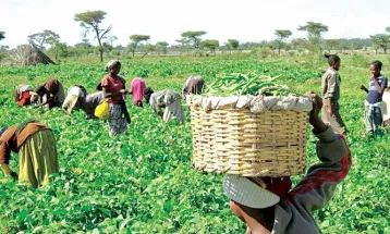 World Food Day: Agriculture Minister Donates Combined Harvester to Agribusinesses