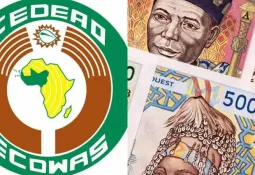 ECOWAS Targets 2027 for Launch of Single Currency, ECO