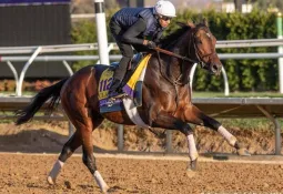 Breeders' Cup Classic Winner Sierra Leone Prepares for Saudi Cup