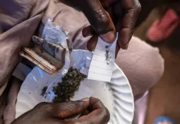 Police Bust Secret Drug Lab in the Heart of Freetown