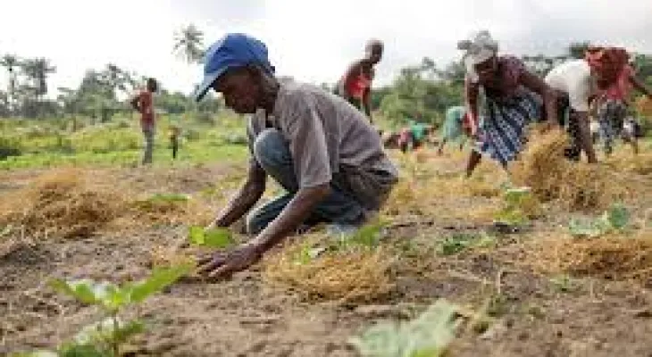 Man Questioned After Posing as Statistics Field Worker in Freetown