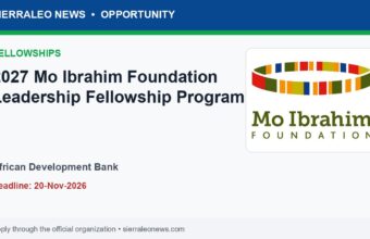 2027 Mo Ibrahim Foundation Leadership Fellowship Program - African Development Bank