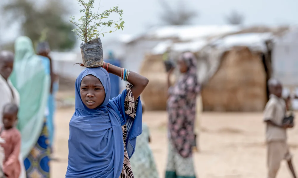 Displaced residents in Cameroon's Far North region after an armed group attack near Makary