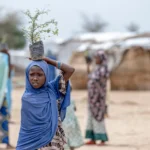 Displaced residents in Cameroon's Far North region after an armed group attack near Makary