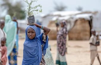Displaced residents in Cameroon's Far North region after an armed group attack near Makary