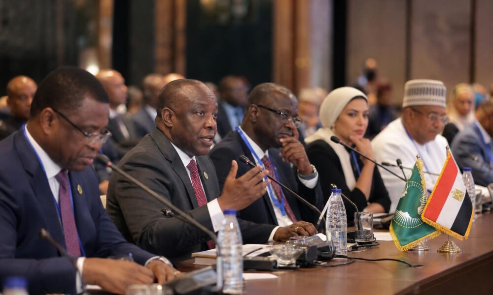 African Leaders Urge Greater Use of Domestic Capital at Egypt Forum