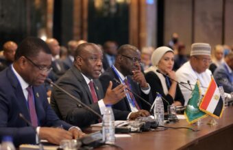 African Leaders Urge Greater Use of Domestic Capital at Egypt Forum