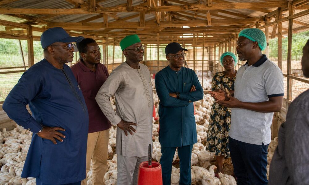 Agriculture Ministry Reviews Magburaka Preparations, Engages Poultry Farmers