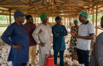 Agriculture Ministry Reviews Magburaka Preparations, Engages Poultry Farmers