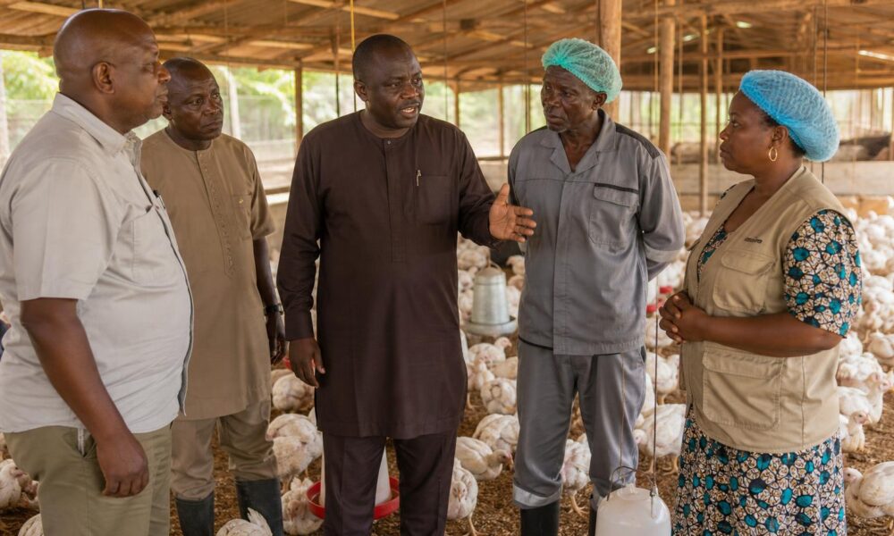 Agriculture Ministry Reviews Poultry Sector Ahead of World Food Day Events
