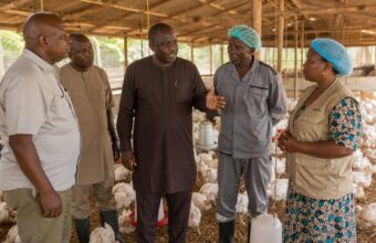 Agriculture Ministry Reviews Poultry Sector Ahead of World Food Day Events