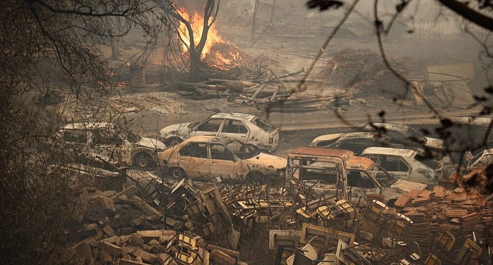 Forest fire aftermath in northern Algeria