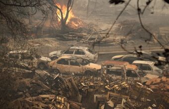 Forest fire aftermath in northern Algeria