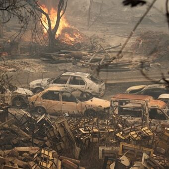 Forest fire aftermath in northern Algeria