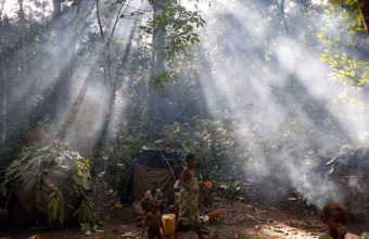 Dryland forest landscape illustrating the ecosystems targeted by FAO’s Call to Action