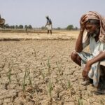 UN Warns Fertiliser Delays Could Deepen Food Crisis in Asia and Africa