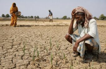 UN Warns Fertiliser Delays Could Deepen Food Crisis in Asia and Africa
