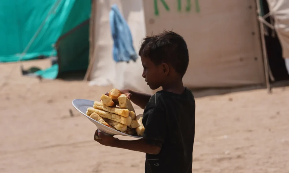 Displaced families affected by worsening fighting and food shortages in Yemen